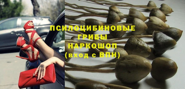 СК Навашино